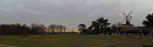 Wimbledon Common Winter